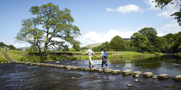Distinguishing Stanley House Spa from Equine Services